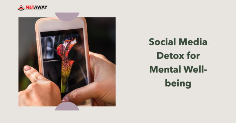 Social Media Detox: Embracing a Social Media Detox for Mental Well-being